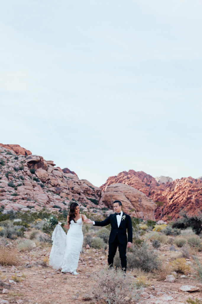 Las Vegas wedding photos in the desert